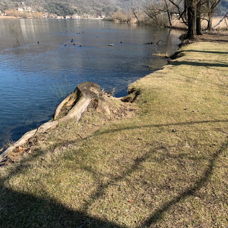 Il Mantova del Lago