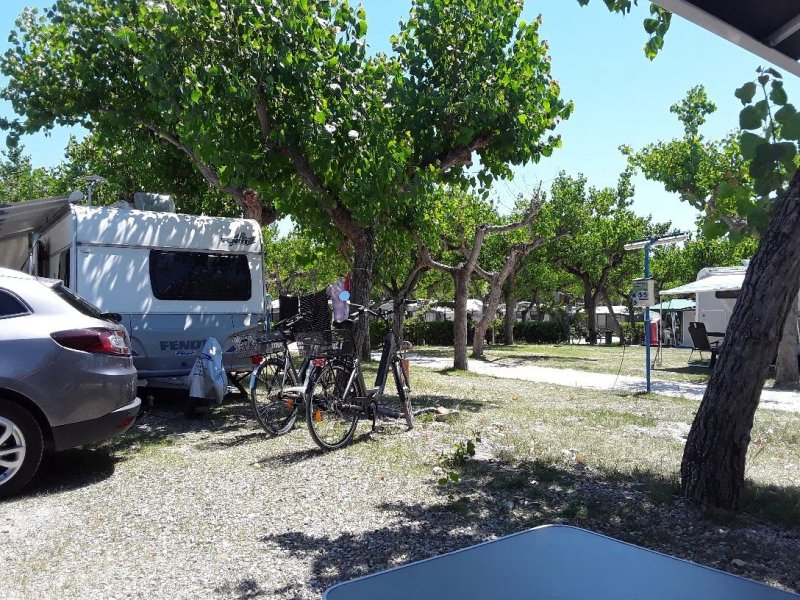 Camping Adria Riccione
