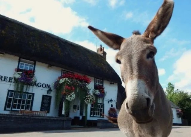 The Green Dragon