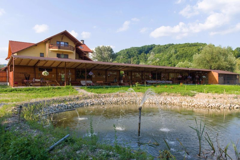 Seven Boutique Villa