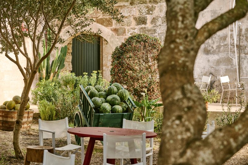 Cantina Menorca