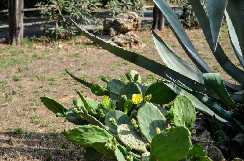 Agriturismo Toscano Le Fornacine