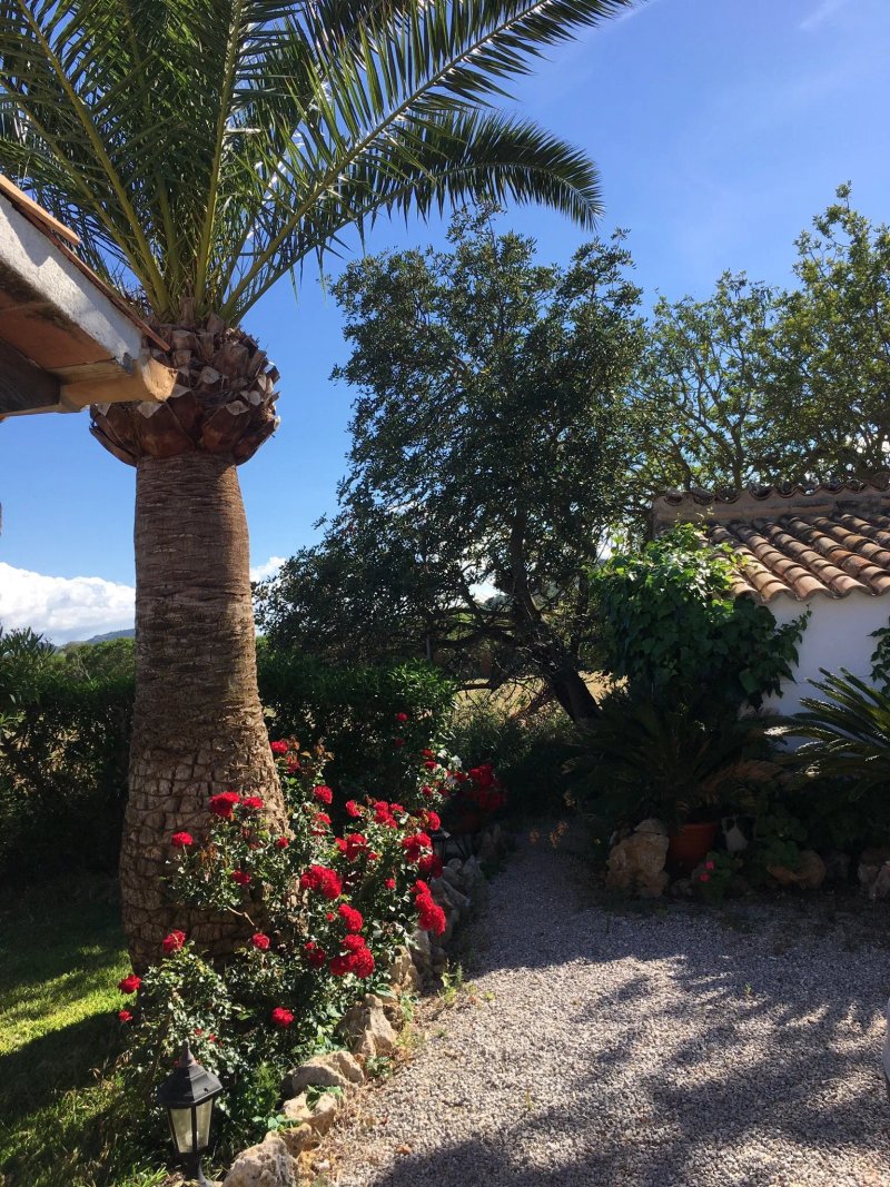 Puerto Pollensa Villas and Apartments