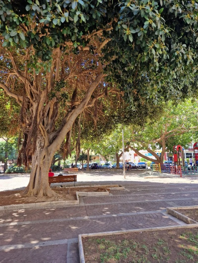 Parque Pocoyo