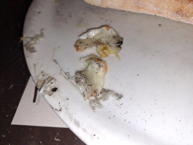 Schiticchio Pizzeria