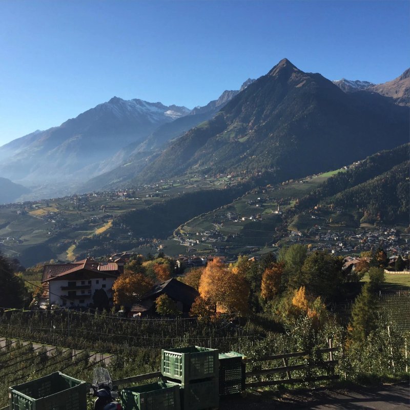 Hotel Alpenrose