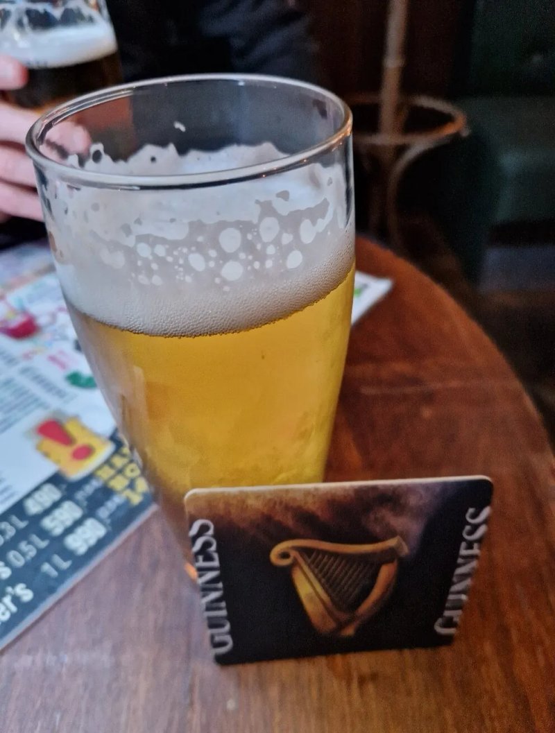 Pointer Pub - Terez krt