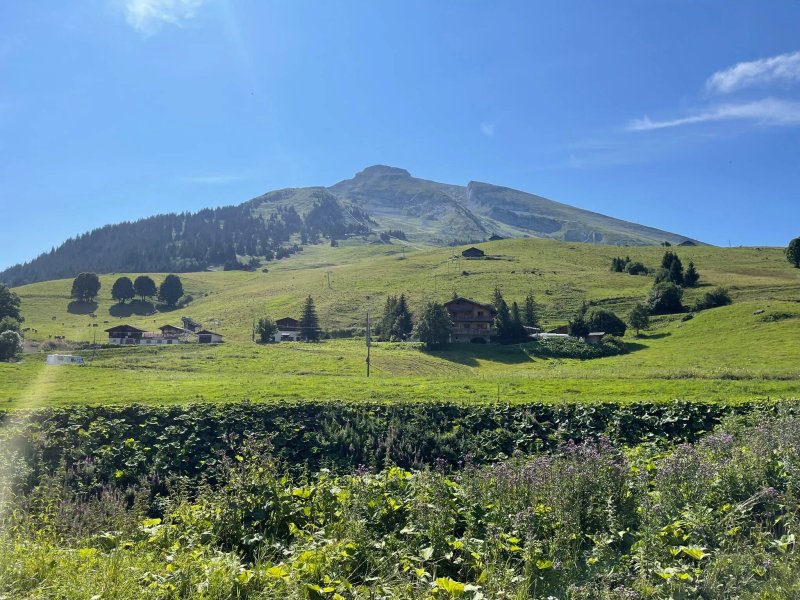 Hôtel Chalet Alpage