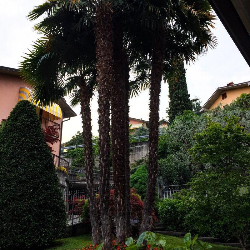 Ai Ronchi B&B