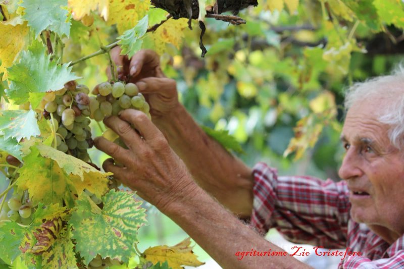 Agriturismo Zio Cristoforo