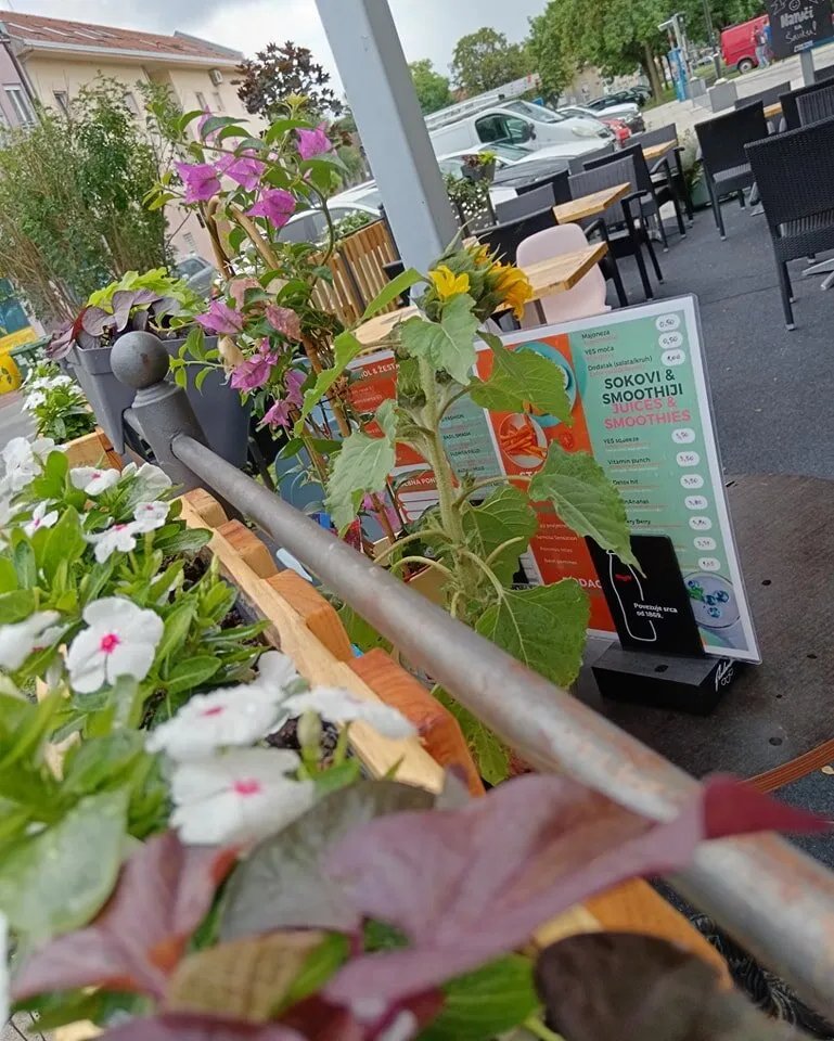 Yes Rebel Bites - Vegan Bistro&bar