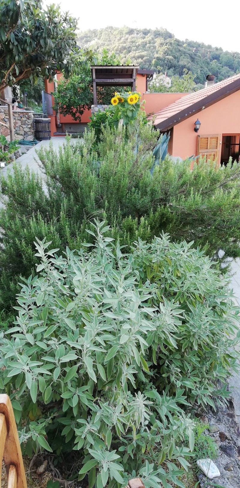 Agriturismo Tre Santi