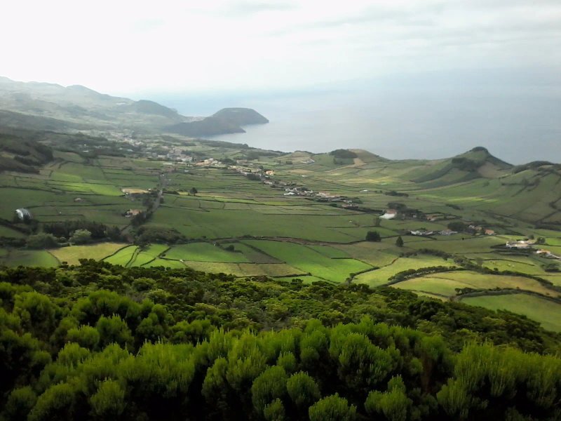 Vivenda da Saudade B&B