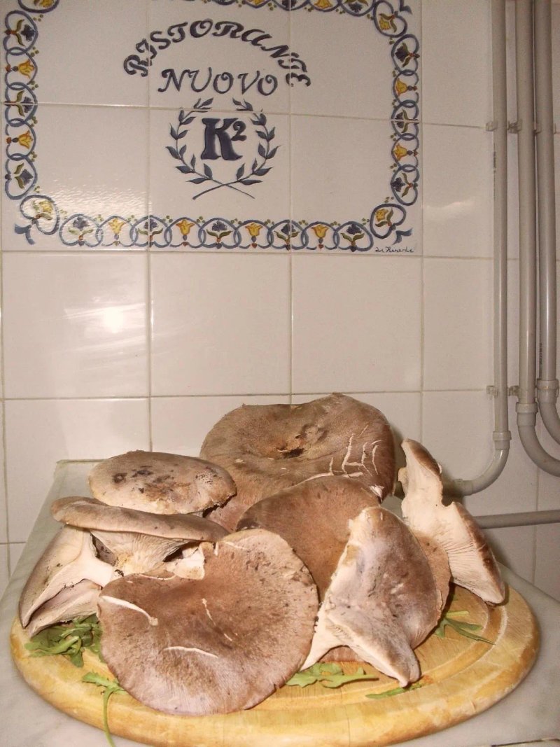 Ristorante Pizzeria Nuovo K2