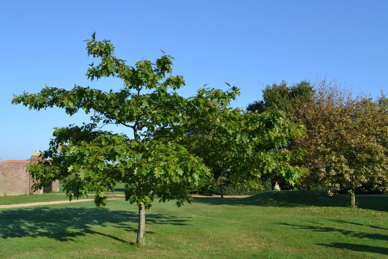 Park Hall