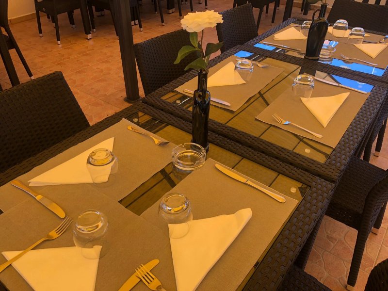 Ristorante Pizzeria New Garden