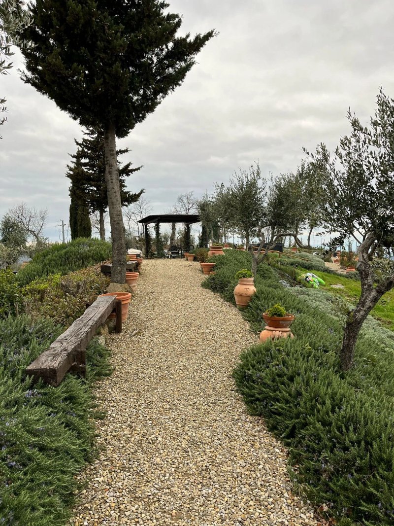 Agriturismo Il Colle