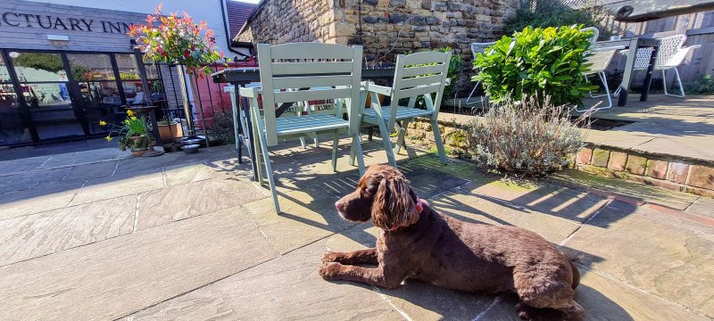 Sanctuary Inn
