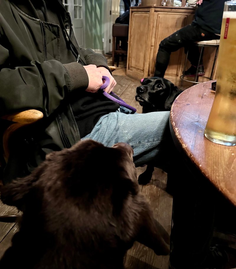 The Black Lion