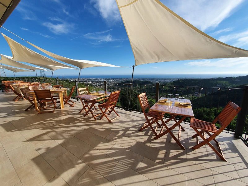 Agriturismo Alle Vigne