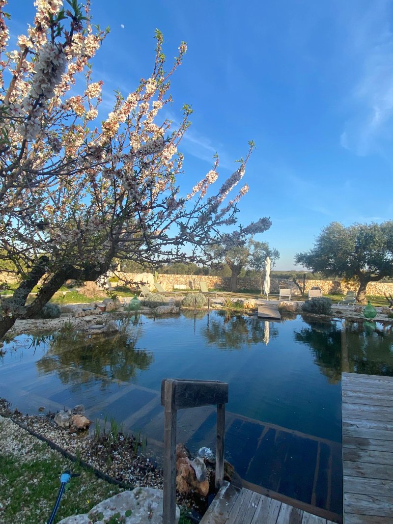 Il Fiore Della Vita Trulli Country House