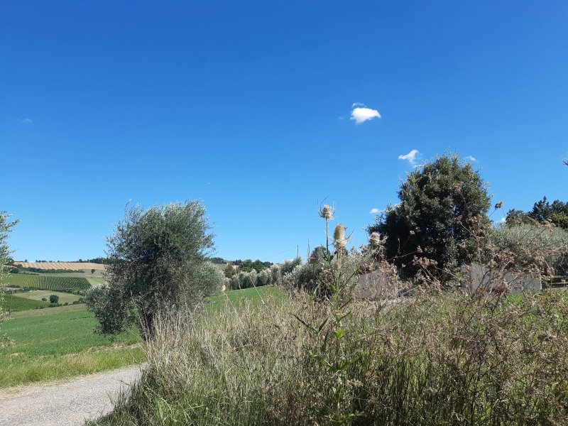 Residenza Collefiorito