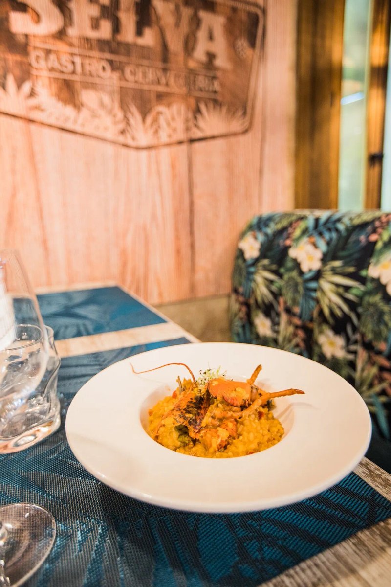 Selva Gastro Cerveceria