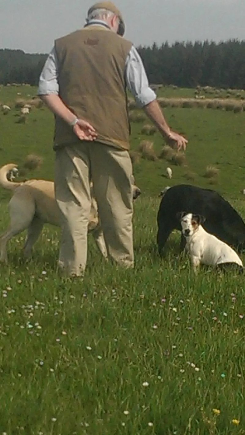 Scotchcoulthard Self-Catering Holiday Cottages