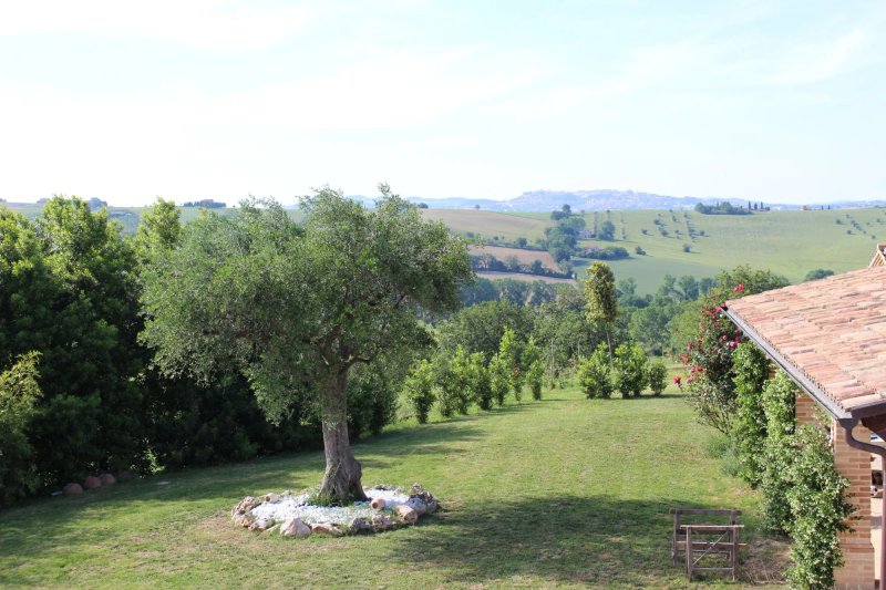 Terra del Sole