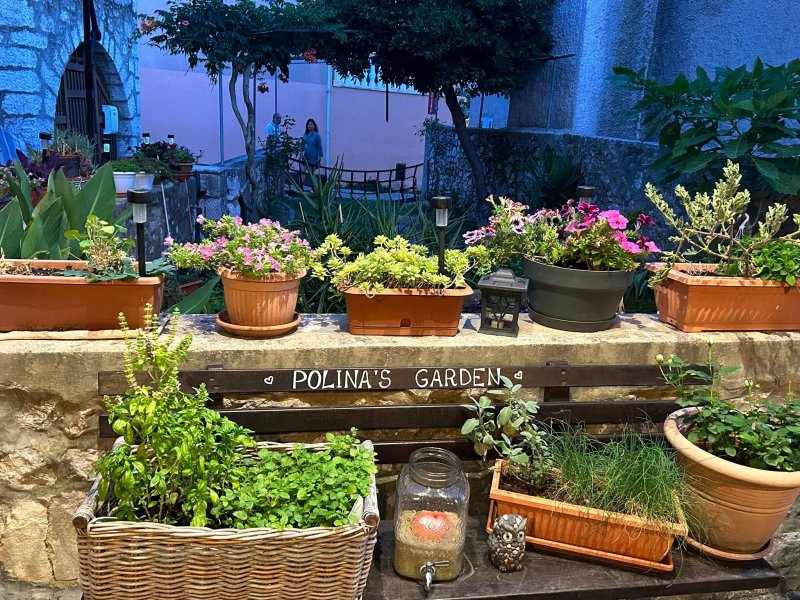 Polina's Taverne