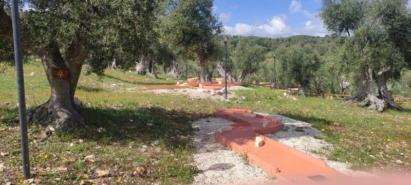 Agriturismo Passione Natura - Degustazioni di prodotti tipici con adventure golf