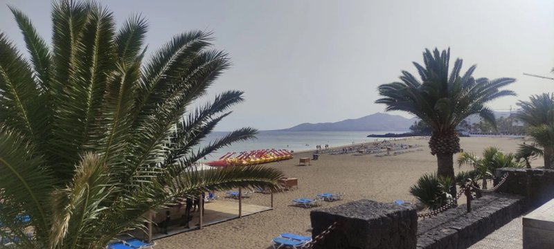The Sea View