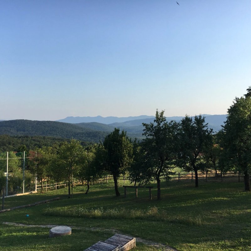 Guest house Domacija Krnc