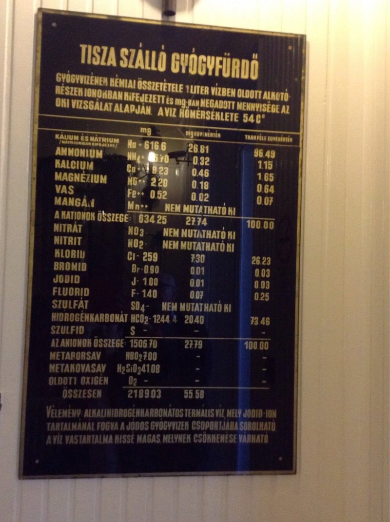 Hotel Tisza