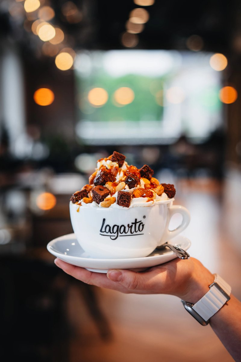 Lagarto J&j Teplice