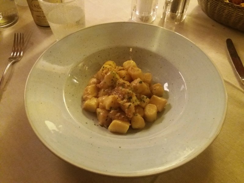 Tajer d'Oro