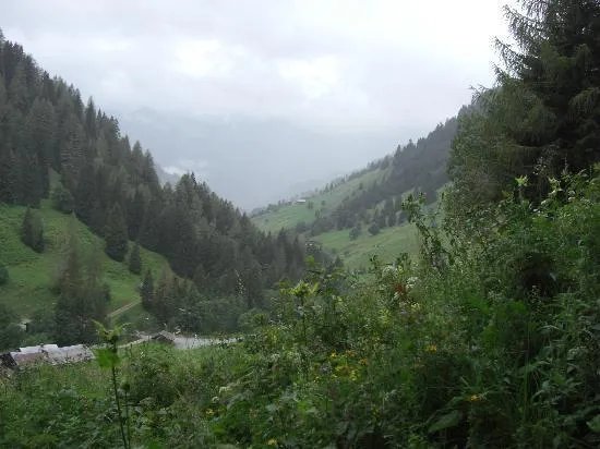 Weissalm