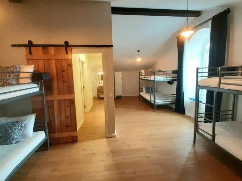 The Holy Cow Hostel & Suites