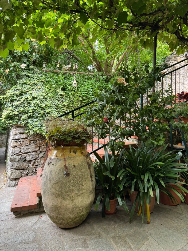 Agriturismo La Selva