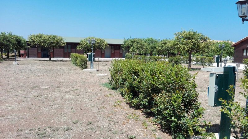 Camping Terra dei Limoni