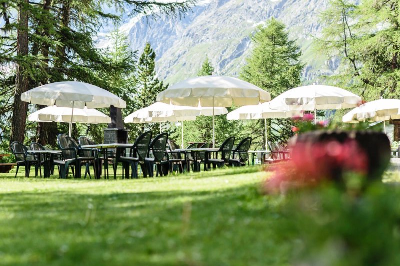 Le Jardin des Arolles