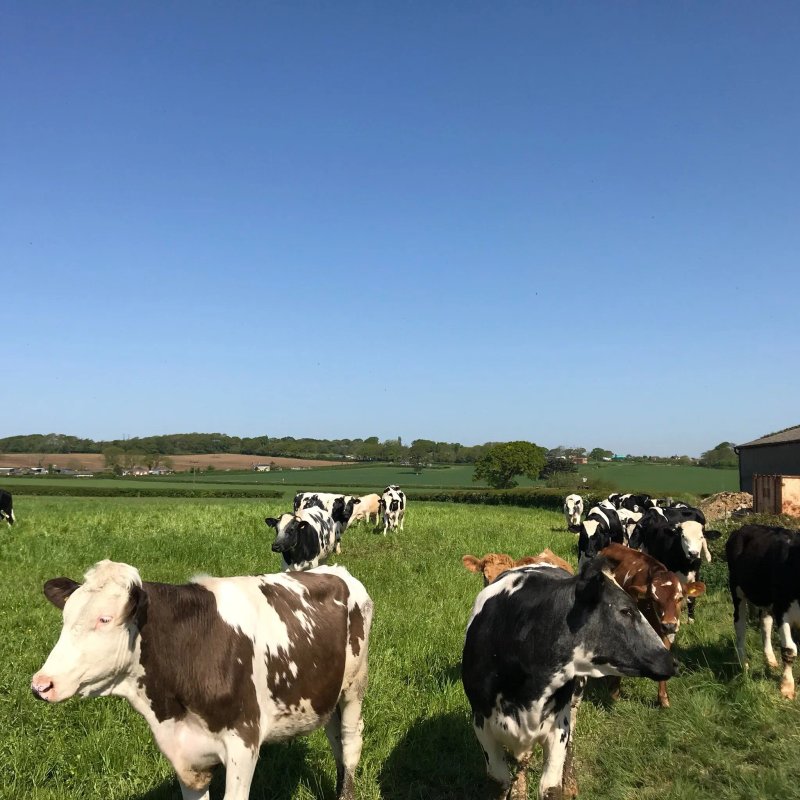 Skinners Farm