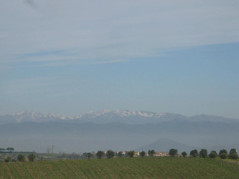 Tassinaia Bed & Breakfast