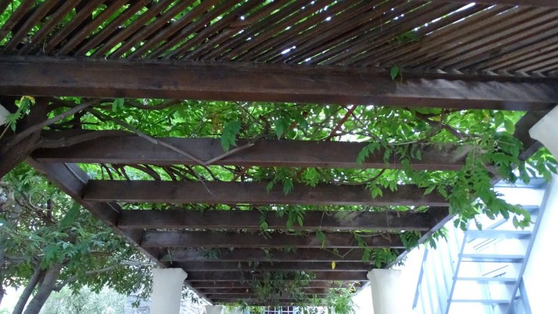 Bratsera Hotel