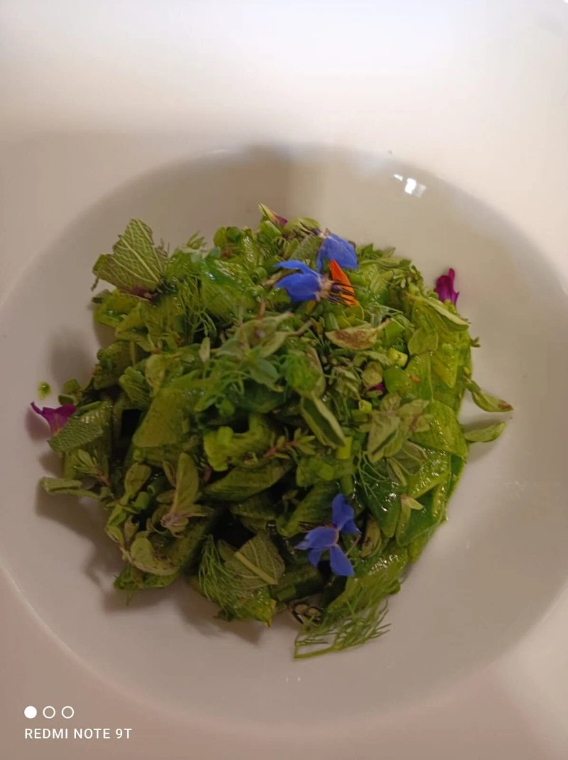 Osteria Ophis