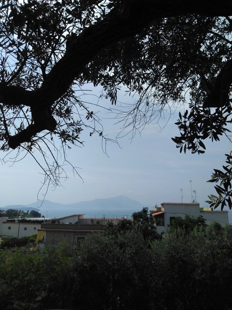 Azienda Agricola da Innaro