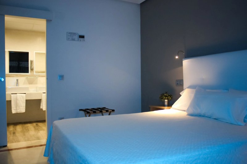 Hospedium Hotel Castilla Torrijos