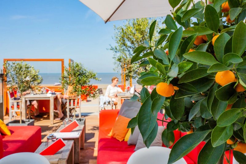 Beach Club Bries