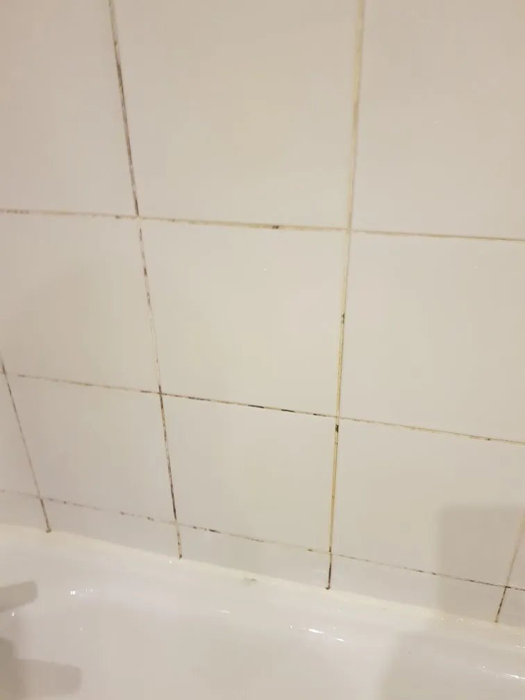 ibis Porto Sao Joao