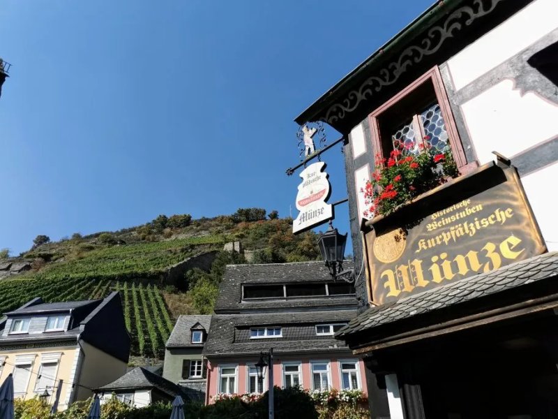 Kurpfalzische Munze